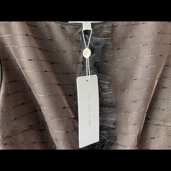 Ellassay Sleeveless Mesh Maxi Gown - Picture 9 of 9